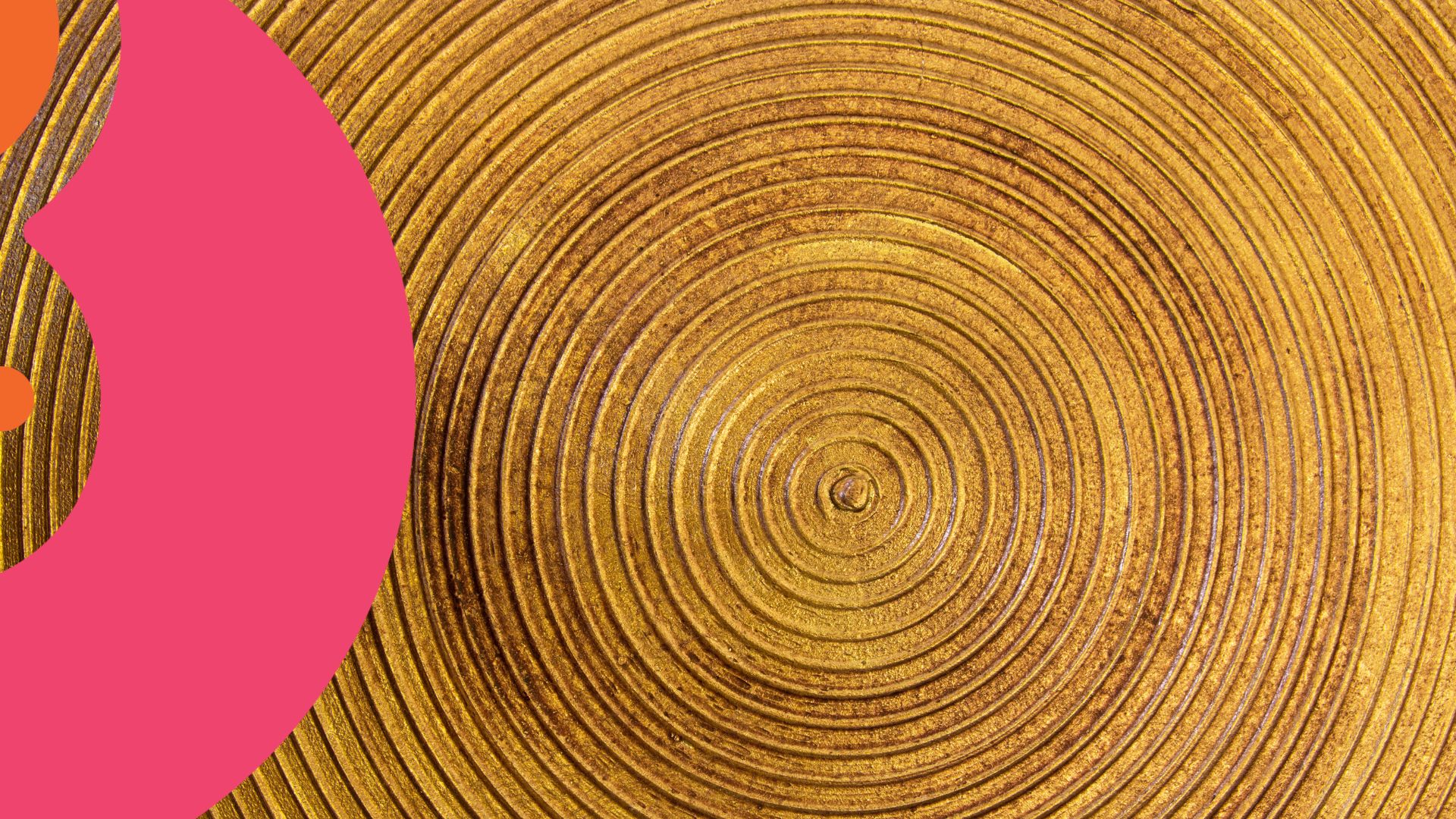 From Clarity to Control: a complete system for brand and communications in B2B tech